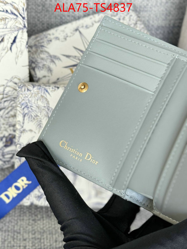 ID: TS4837 $: 75USD,