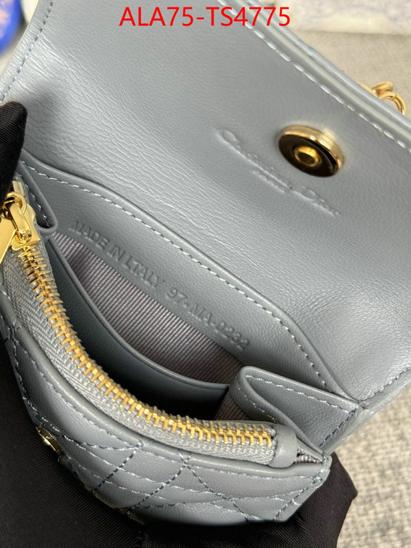 ID: TS4775 $: 75USD,