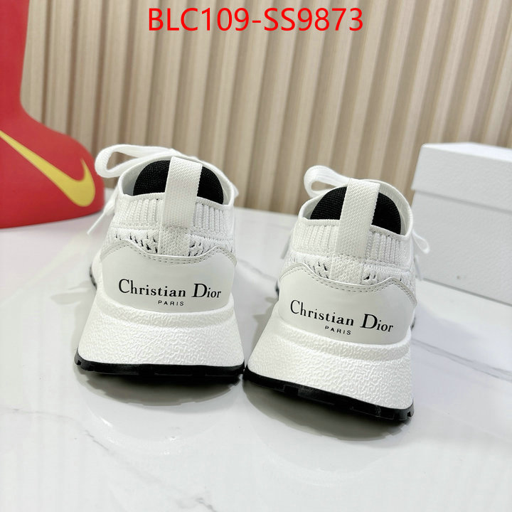 Men shoes-Dior what best replica sellers ID: SS9873 $: 109USD