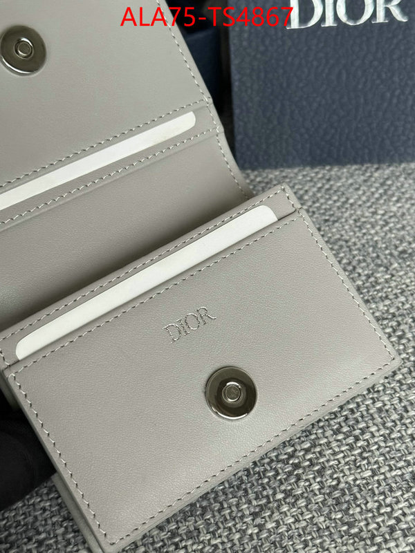 ID: TS4867 $: 75USD,