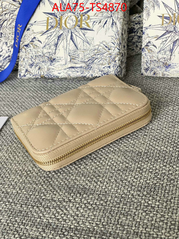ID: TS4870 $: 75USD,