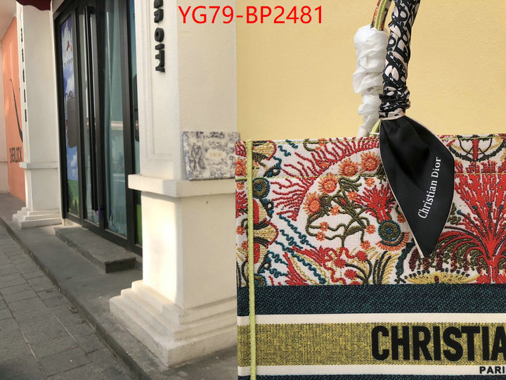 ID: BP2481