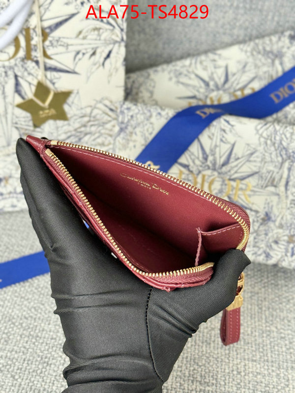 ID: TS4829 $: 75USD,
