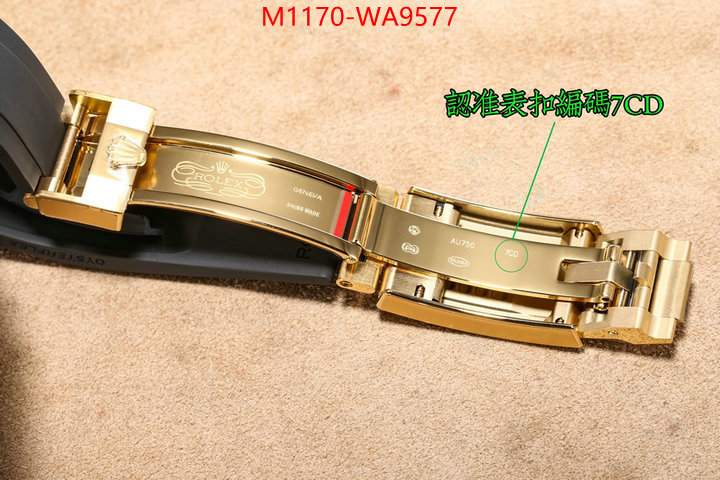 ID: WA9577