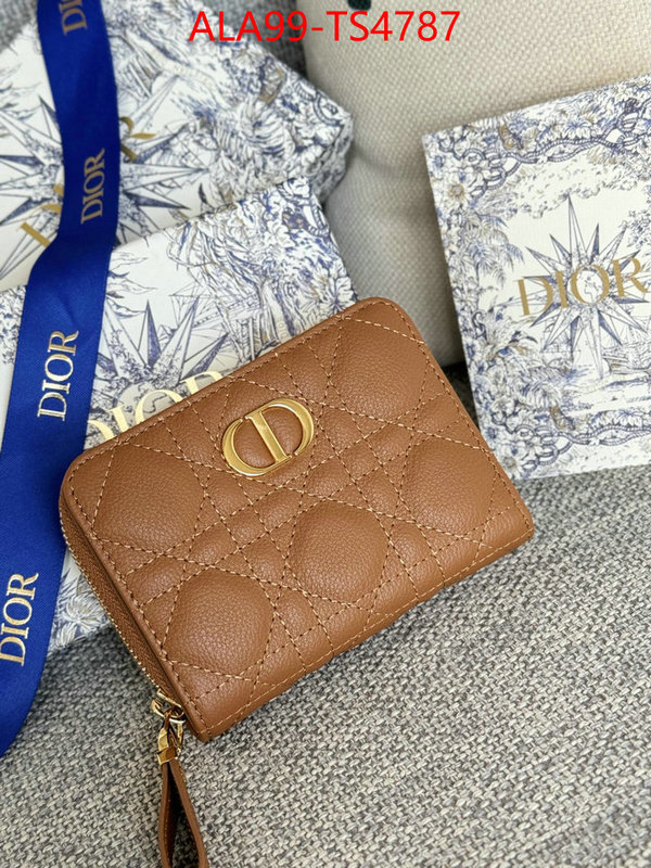 ID: TS4787 $: 99USD,