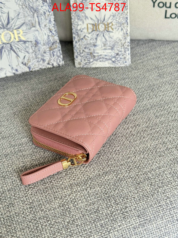 ID: TS4787 $: 99USD,