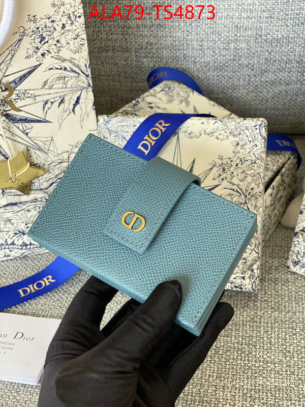 ID: TS4873 $: 79USD,