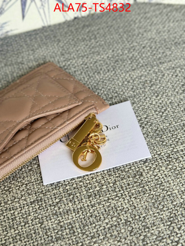 ID: TS4832 $: 75USD,