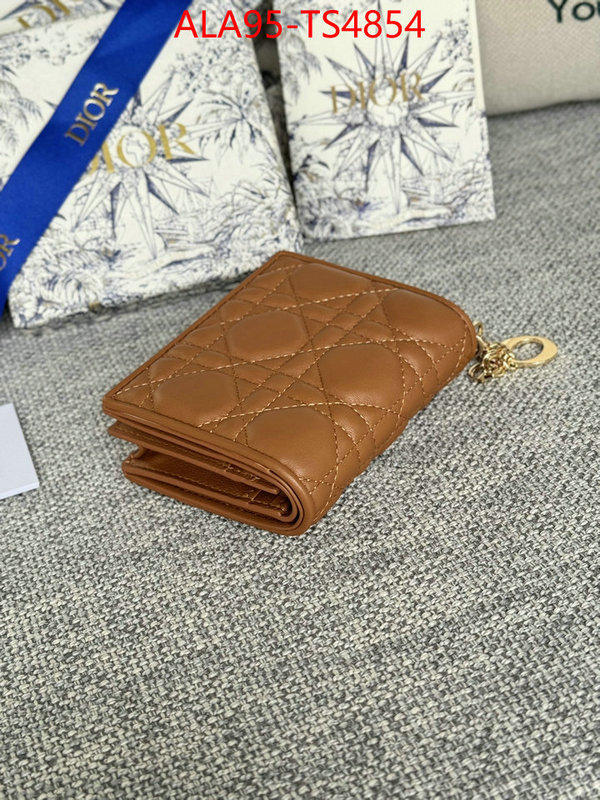 ID: TS4854 $: 95USD,