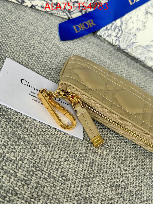 ID: TS4783 $: 75USD,