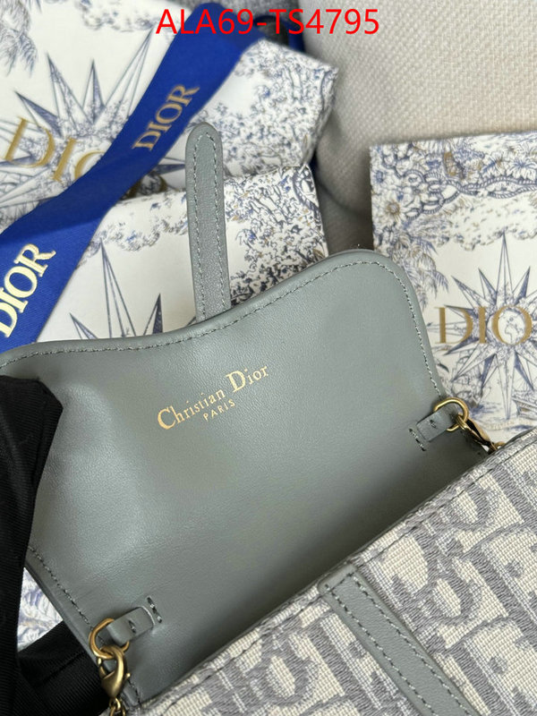 ID: TS4795 $: 69USD,