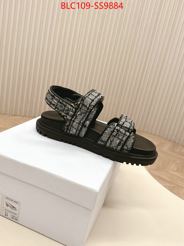 Women Shoes-Dior wholesale 2024 replica ID: SS9884 $: 109USD