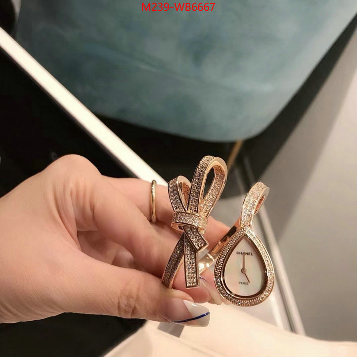 ID: WB6667