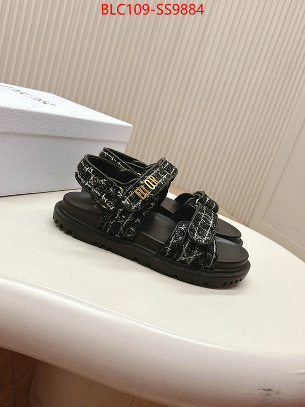 Women Shoes-Dior wholesale 2024 replica ID: SS9884 $: 109USD