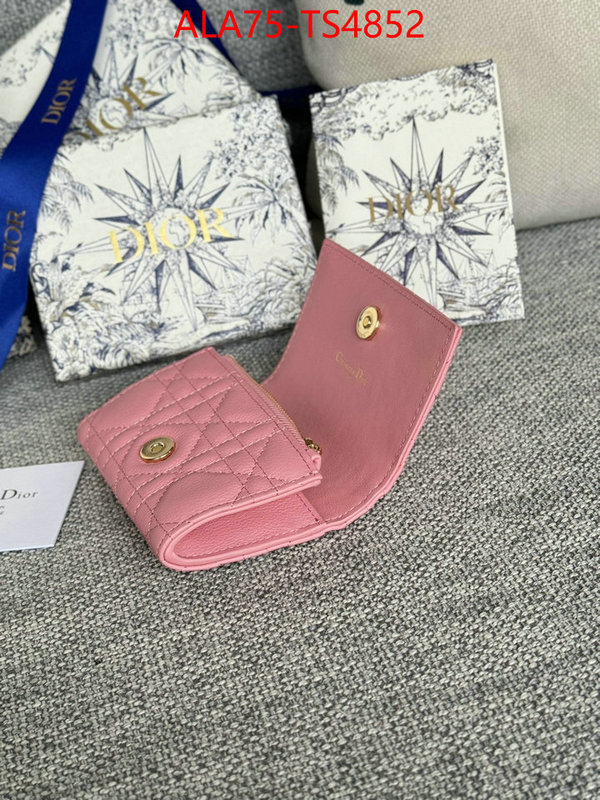 ID: TS4852 $: 75USD,