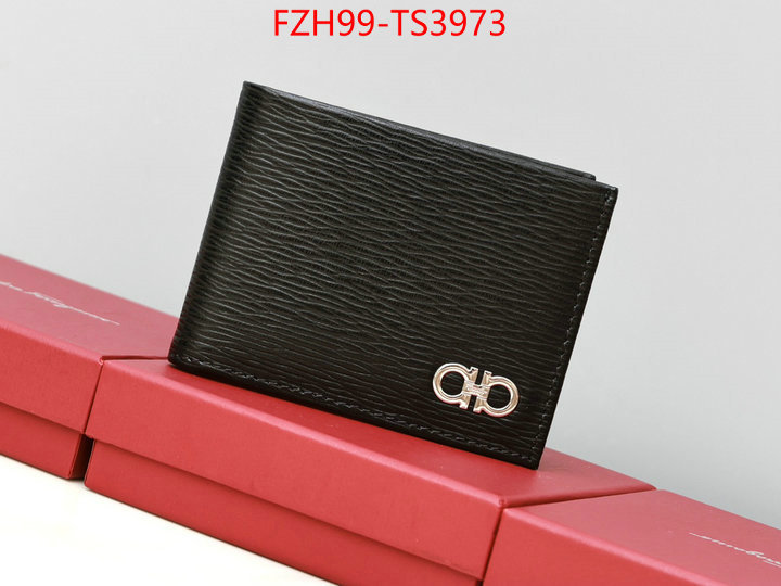 ID: TS3973 $: 99USD,