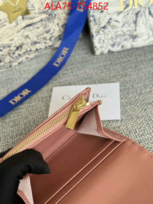 ID: TS4852 $: 75USD,