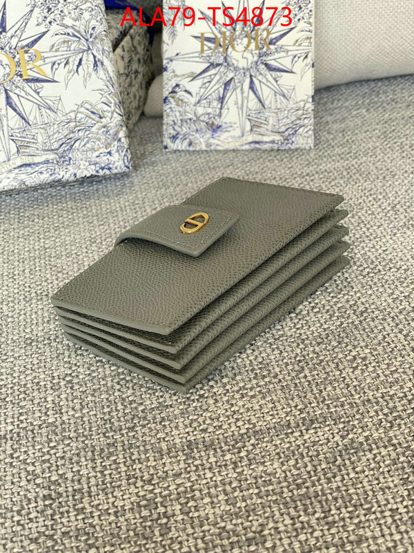 ID: TS4873 $: 79USD,