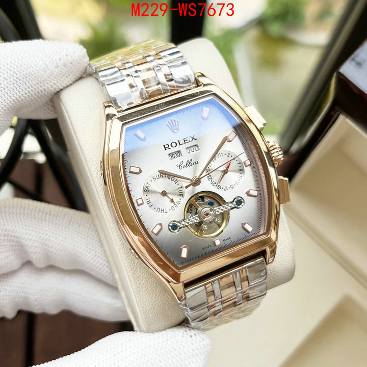 ID: WS7673