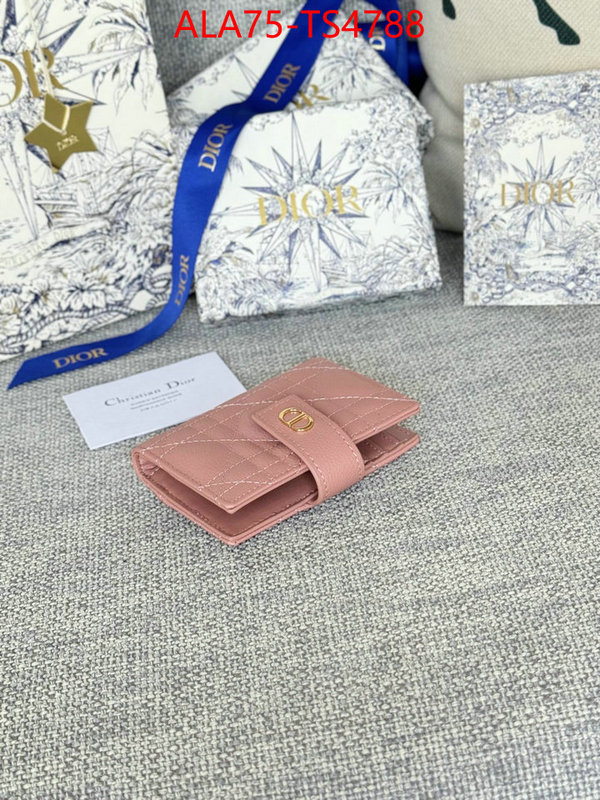 ID: TS4788 $: 75USD,