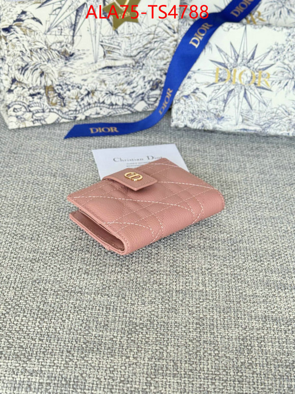 ID: TS4788 $: 75USD,