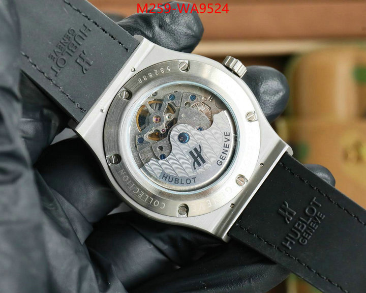 ID: WA9524