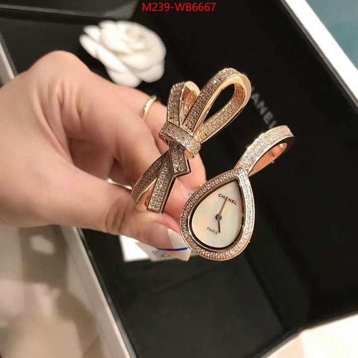 ID: WB6667