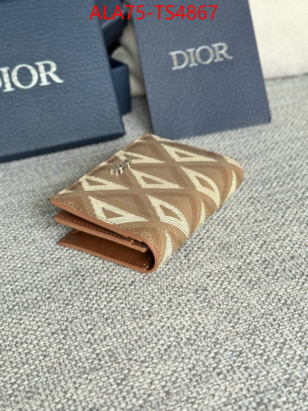 ID: TS4867 $: 75USD,