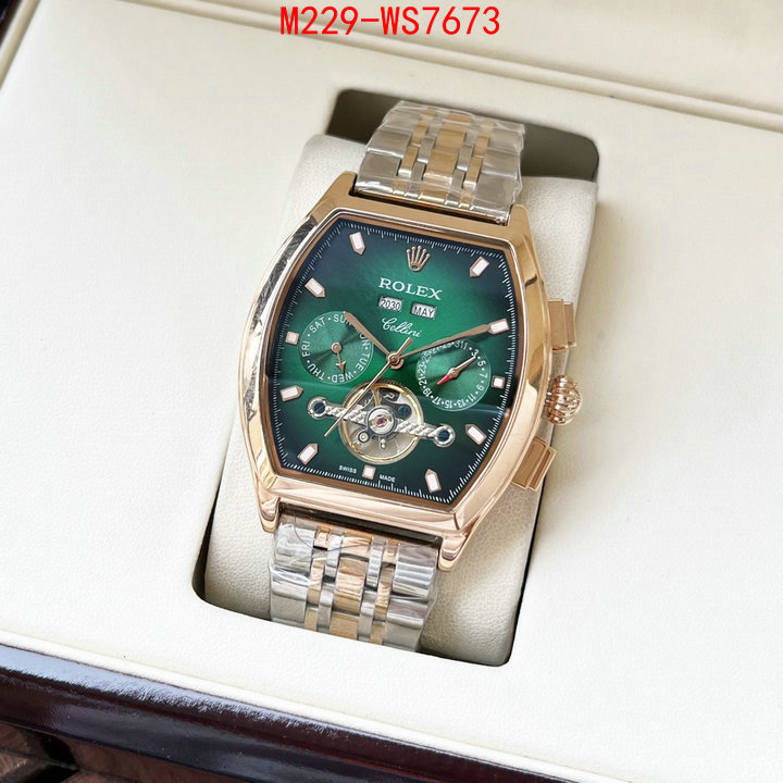 ID: WS7673