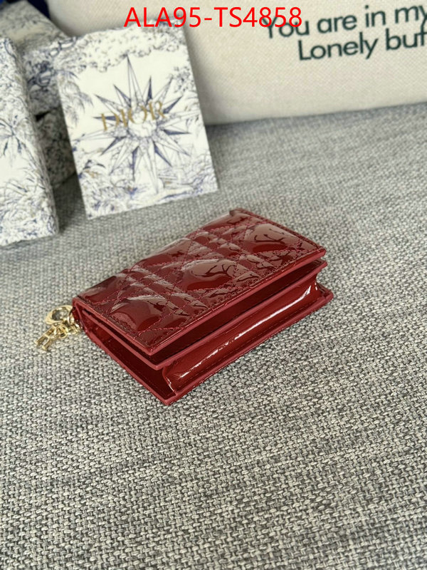 ID: TS4858 $: 95USD,