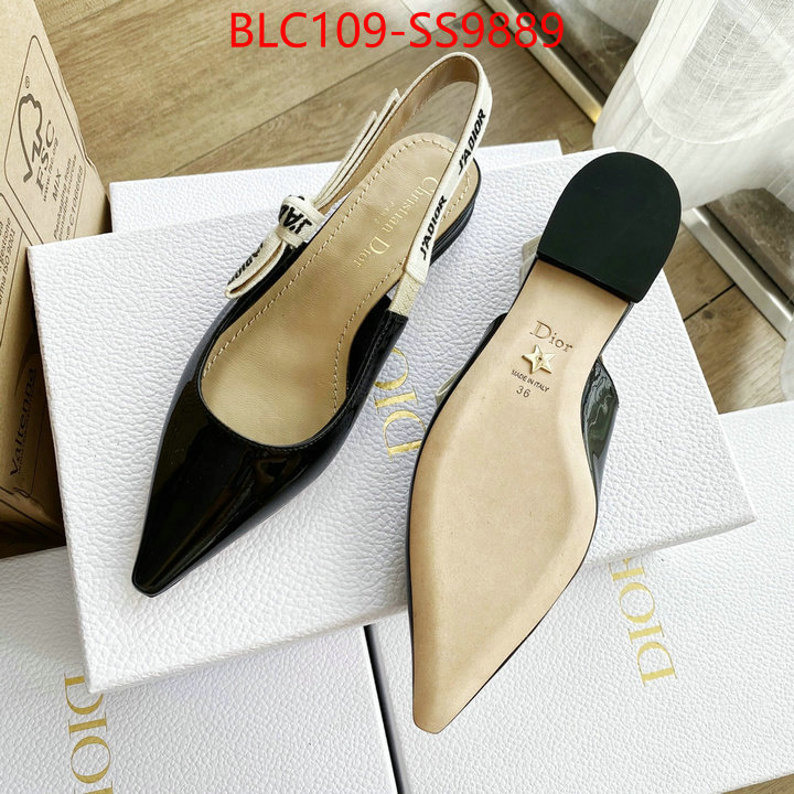 Women Shoes-Dior best knockoff ID: SS9889 $: 109USD