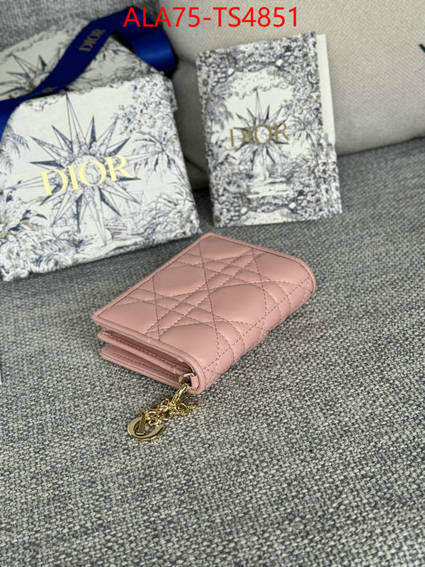 ID: TS4851 $: 75USD,