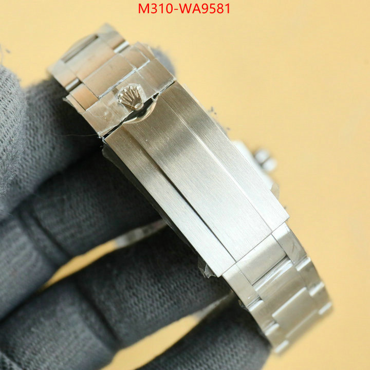 ID: WA9581