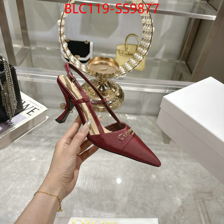 Women Shoes-Dior shop the best high authentic quality replica ID: SS9877 $: 119USD-shoes yupoo Women Shoes-Dior shop the best high authentic quality replica ID: SS9877 $: 119USD