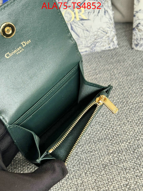 ID: TS4852 $: 75USD,