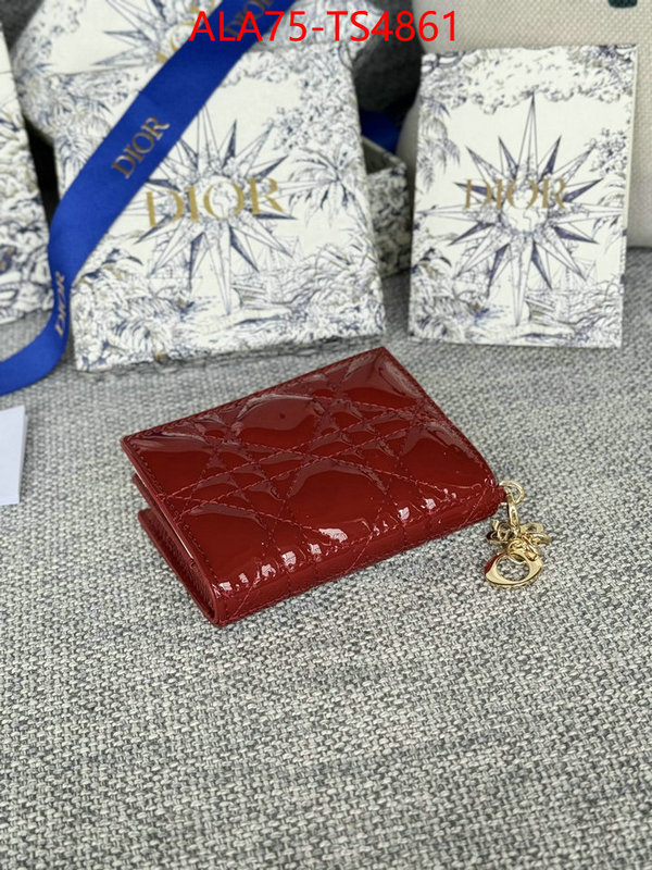ID: TS4861 $: 75USD,