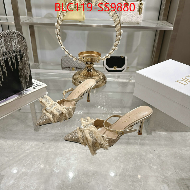 Women Shoes-Dior store ID: SS9880 $: 119USD