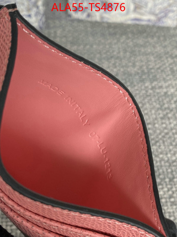 ID: TS4876 $: 55USD,
