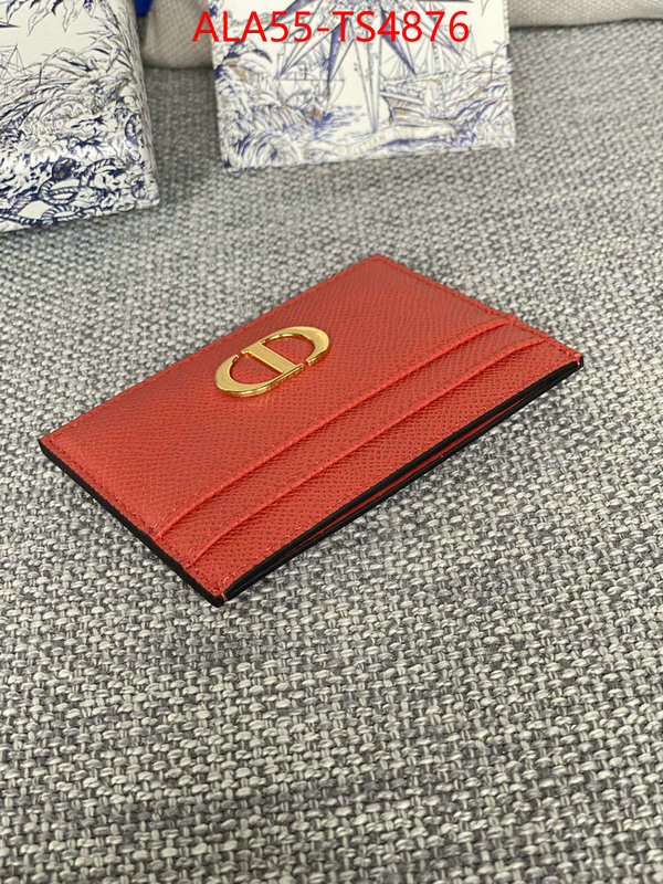 ID: TS4876 $: 55USD,