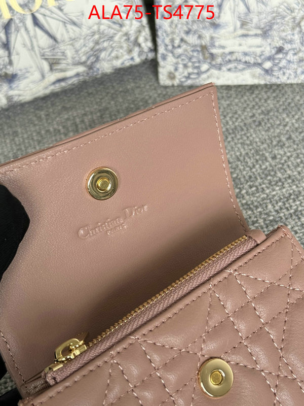 ID: TS4775 $: 75USD,