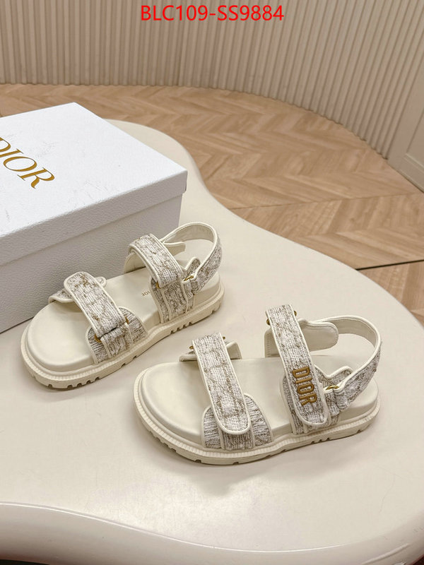 Women Shoes-Dior wholesale 2024 replica ID: SS9884 $: 109USD