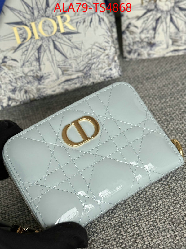 ID: TS4868 $: 79USD,