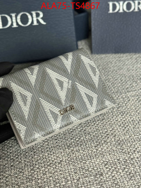 ID: TS4867 $: 75USD,