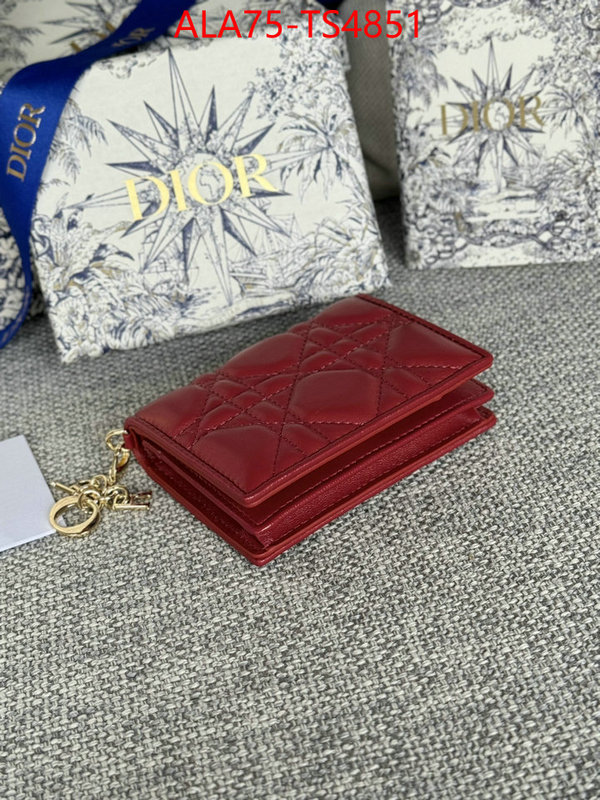 ID: TS4851 $: 75USD,