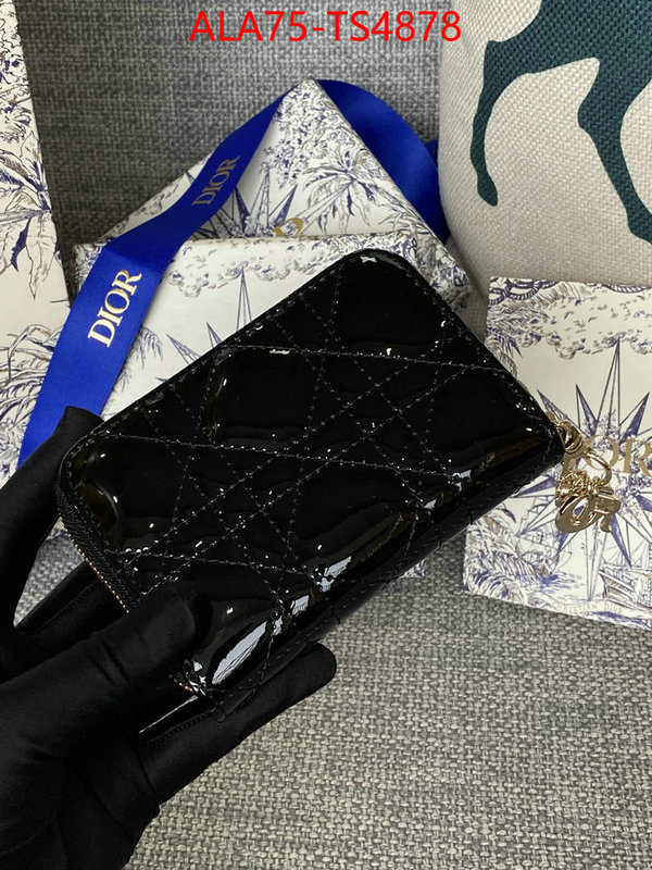 ID: TS4878 $: 75USD,