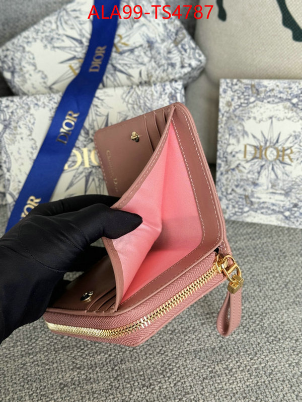 ID: TS4787 $: 99USD,