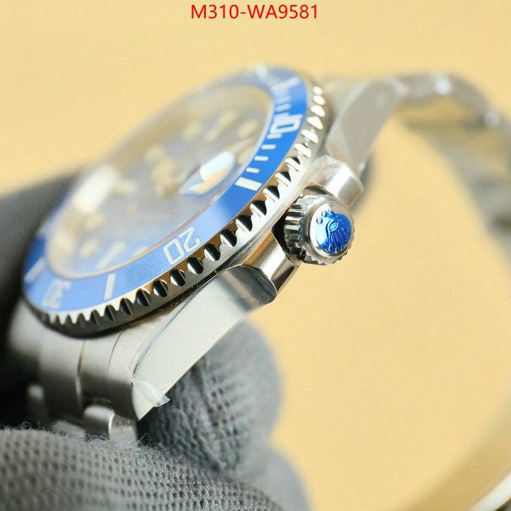 ID: WA9581