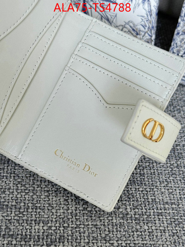 ID: TS4788 $: 75USD,