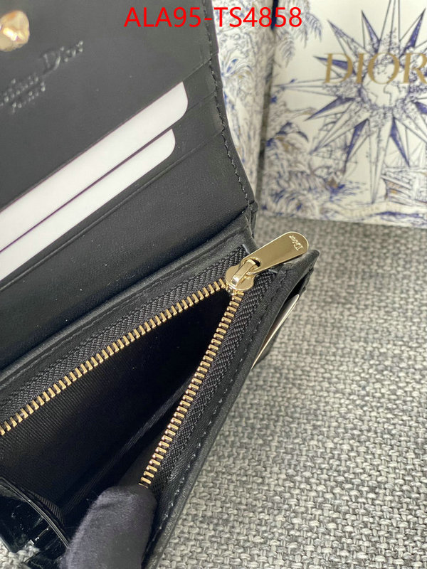ID: TS4858 $: 95USD,