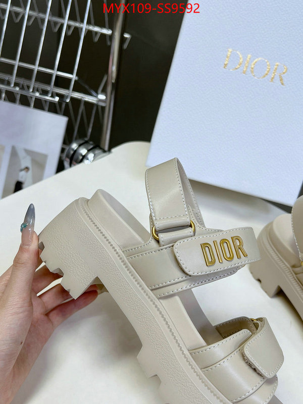 Women Shoes-Dior fashion designer ID: SS9592 $: 109USD
